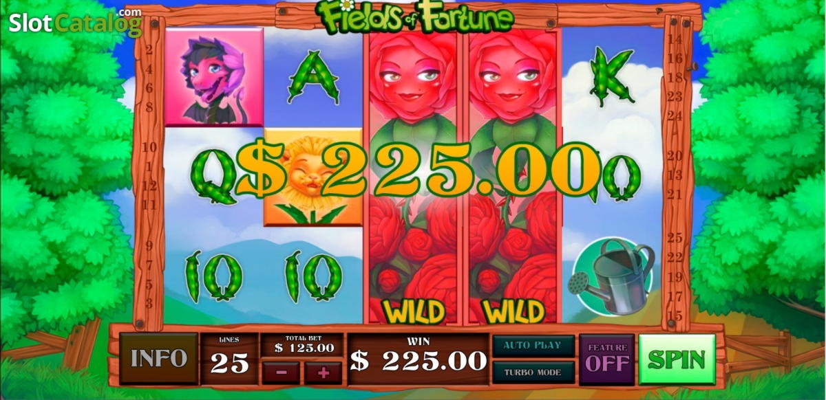 870% No Rules Bonus! at Mega Casino