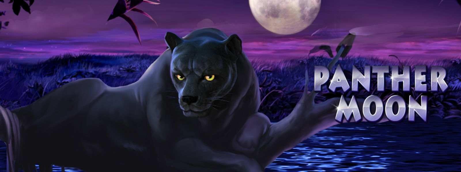 $1560 No Deposit Bonus Code at Mega Casino