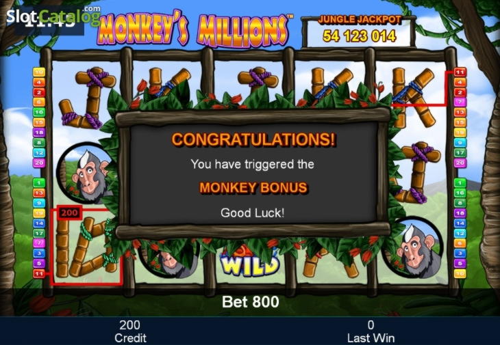 665% Signup Casino Bonus at Betwinner Casino
