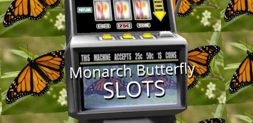 295 free spins at Spinit Casino