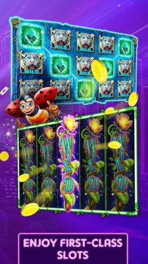 340% No Rules Bonus! at Betway Casino