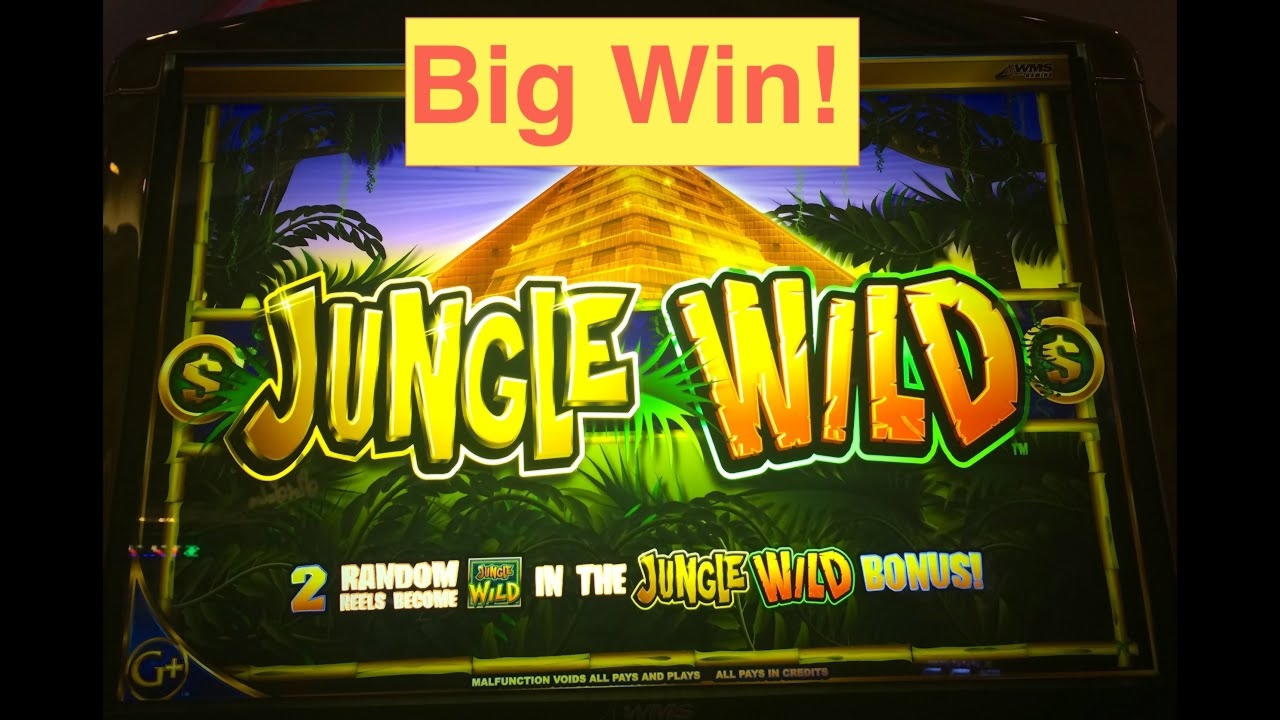 ﻿$4920 No deposit at Intertops Casino