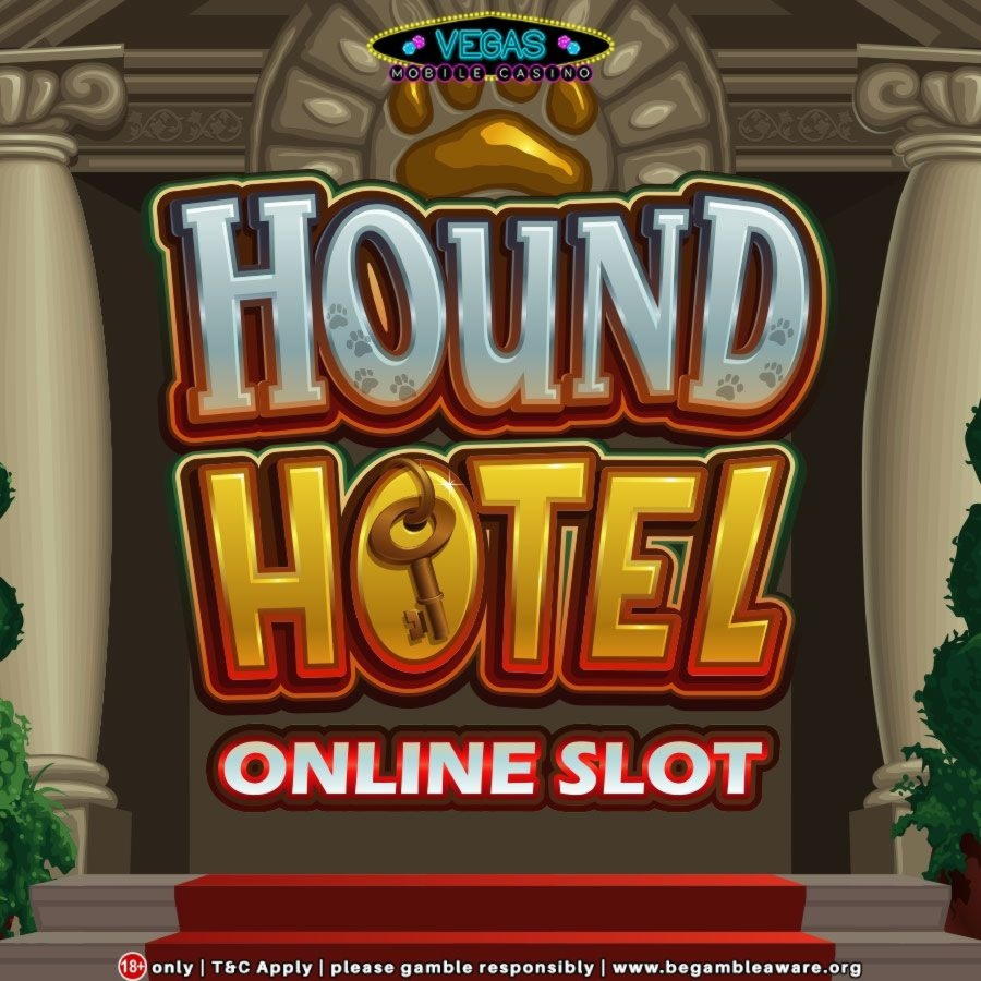$195 Free Casino Tournament at Spinit Casino