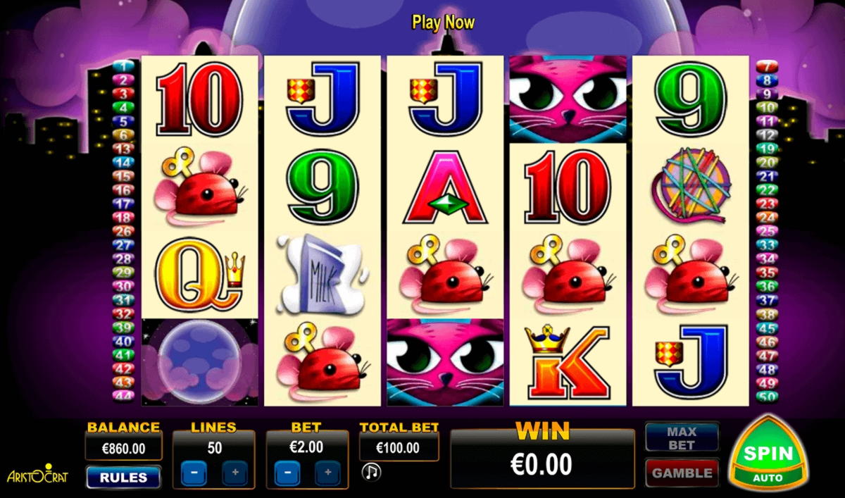 290% Best signup bonus casino at Betway Casino