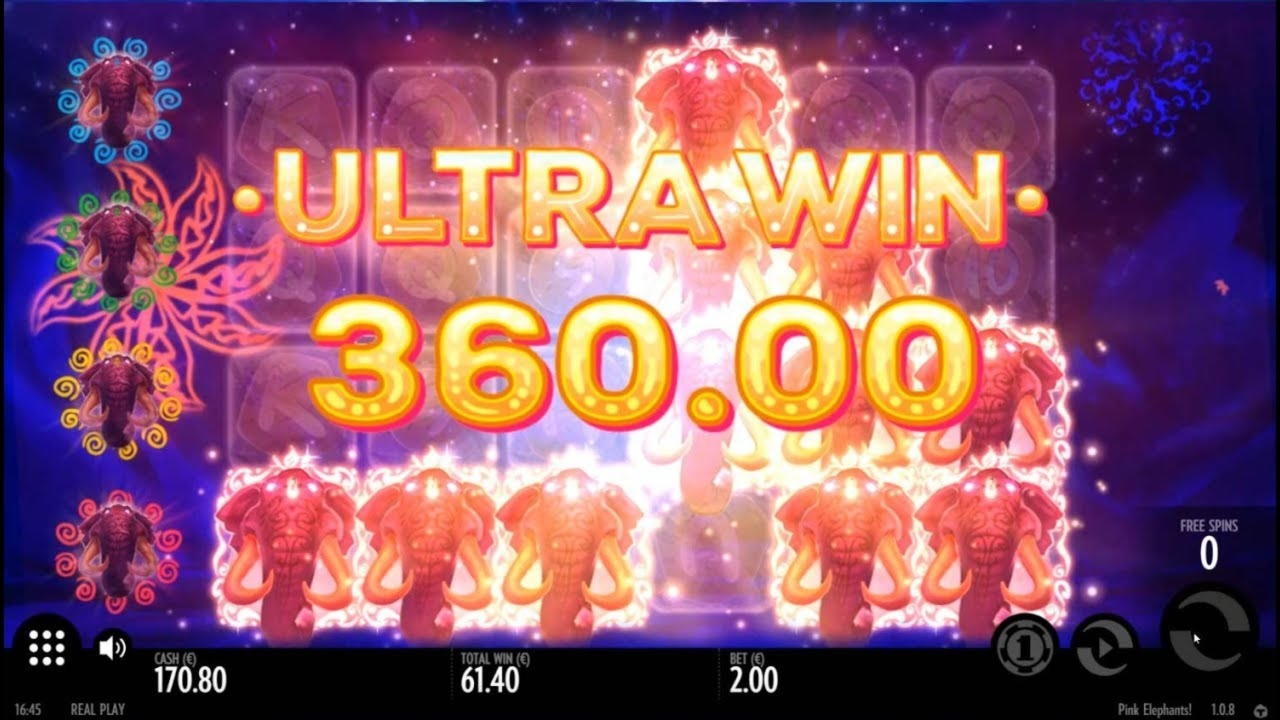 255 FREE Spins at Casino Cruise