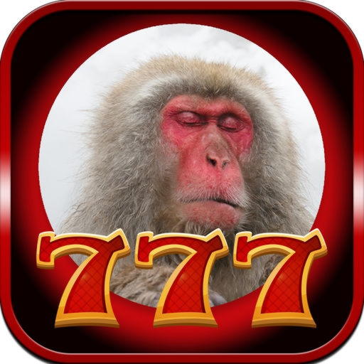75 Free spins at Spinit Casino