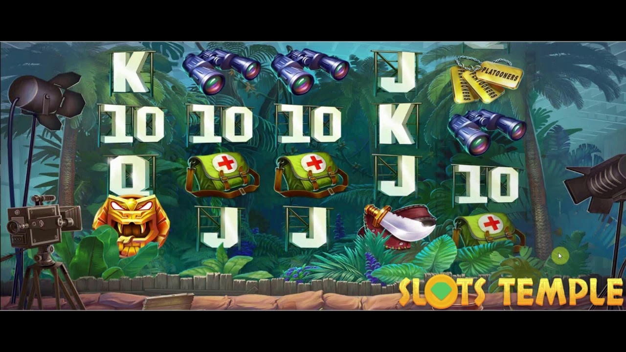 €295 Daily freeroll slot tournament at Betwinner Casino