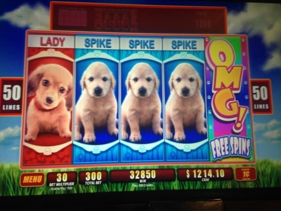 110 free spins at Intertops Casino