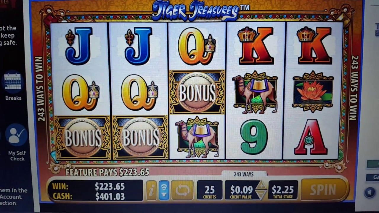$245 casino chip at Casino Cruise