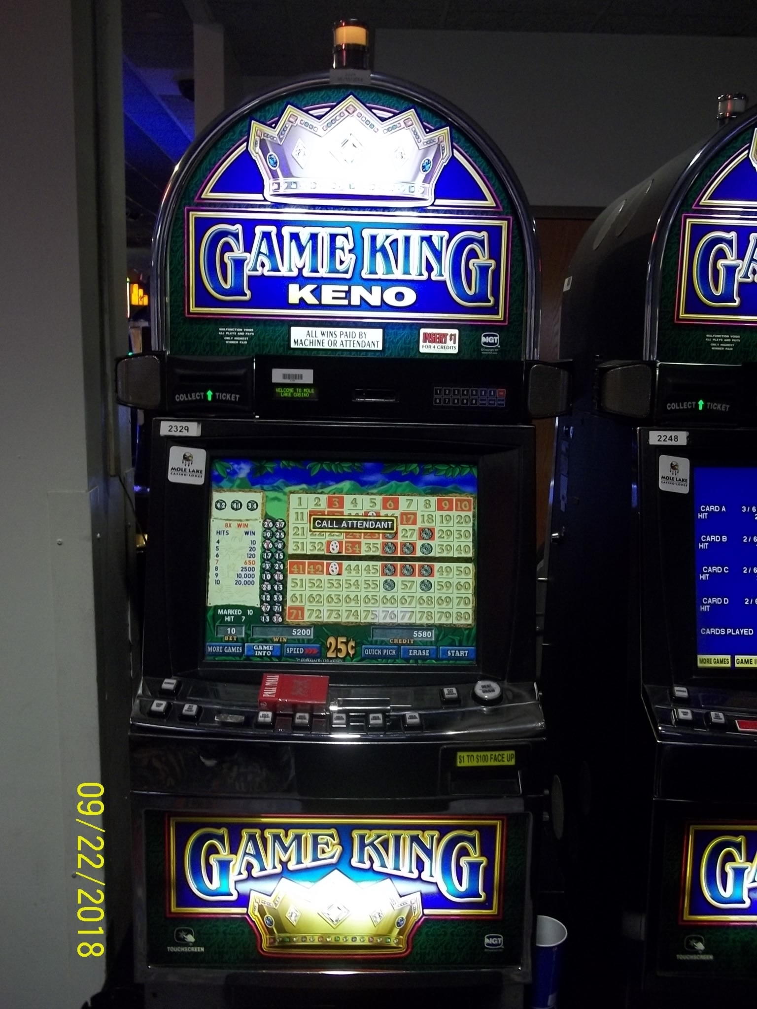 225 Free Spins Casino at Spin Palace Casino