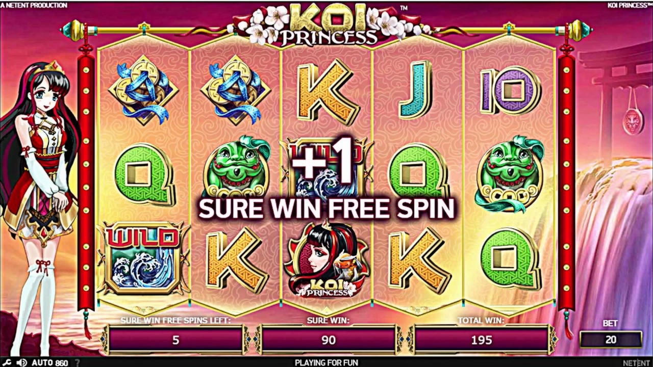 €235 Daily freeroll slot tournament at Casino Cruise