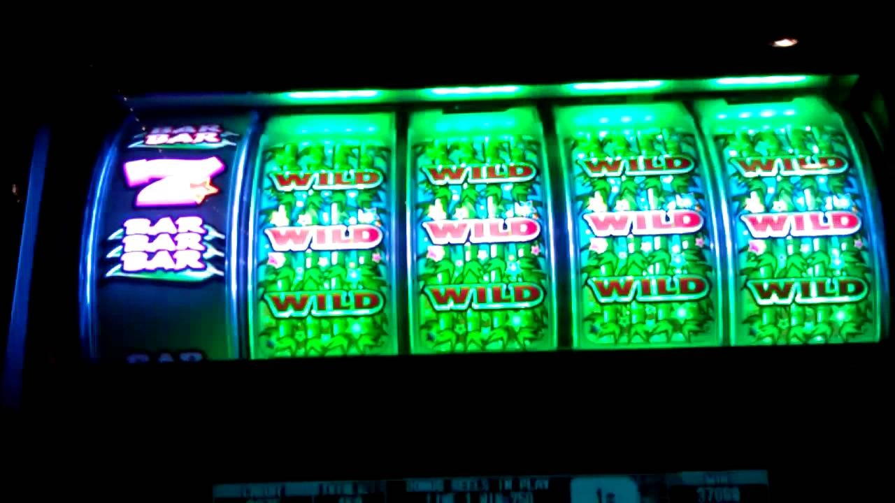 $220 Free Casino Tournament at Simba Games Casino