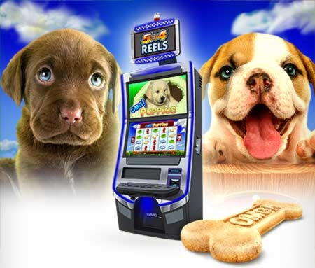 $175 Free chip casino at Superior Casino
