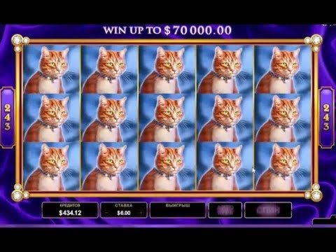 €245 FREE Casino Chip at Spin Palace Casino