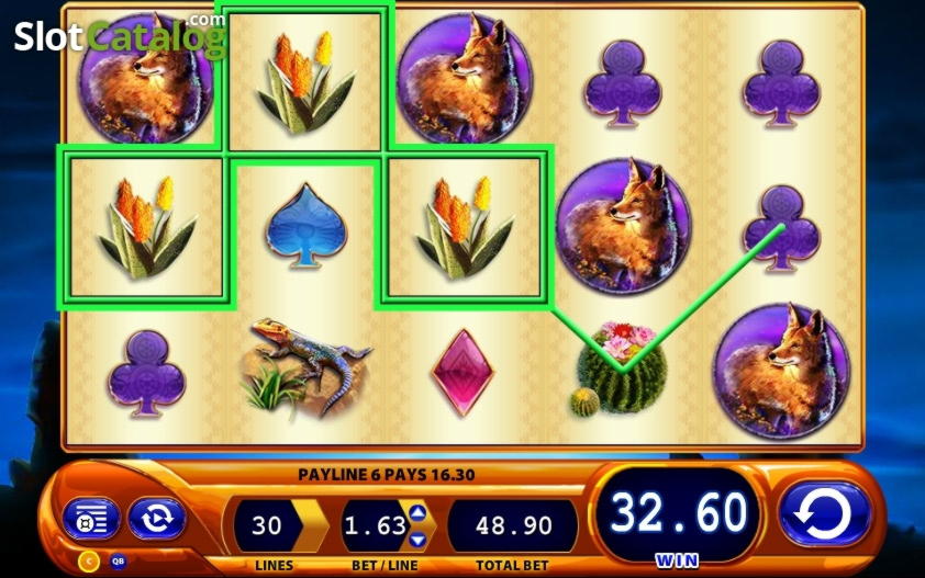 335% Match Bonus at Casino Cruise