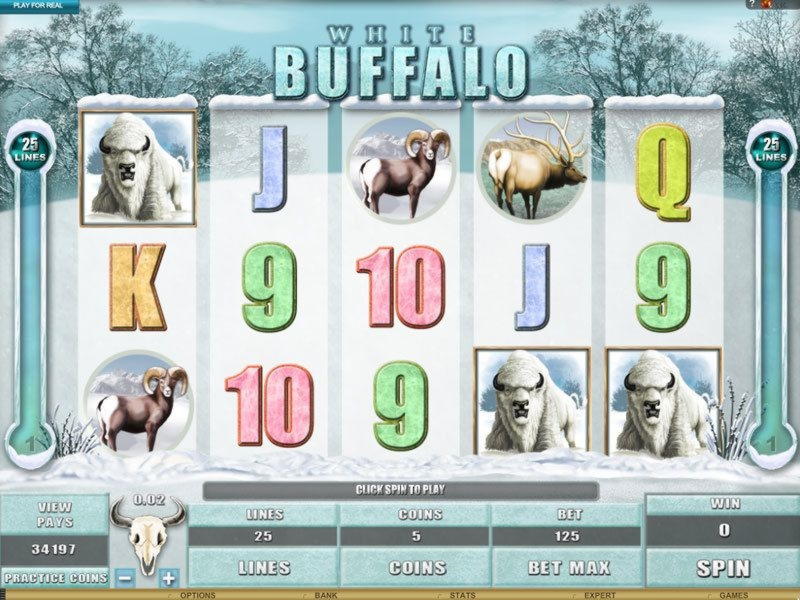 565% Best signup bonus casino at Mummys Gold Casino