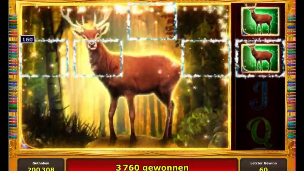 195% Match Bonus at Spinit Casino