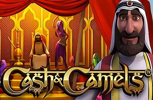 320% casino match bonus at Casino Cruise