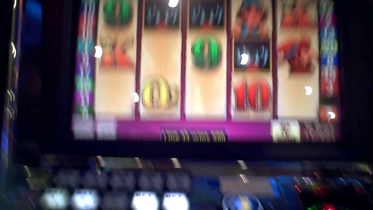 $125 Online Casino Tournament at Mummys Gold Casino