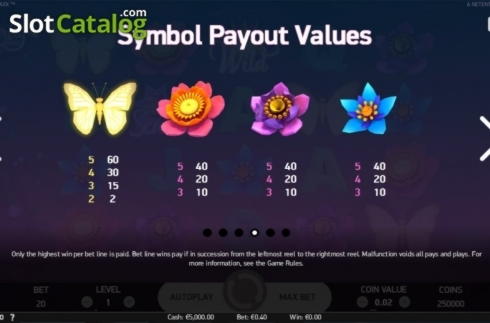 EURO 335 FREE CASINO CHIP at Big Cash Casino