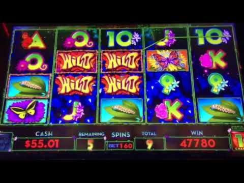130% Best Signup Bonus Casino at Simba Games Casino