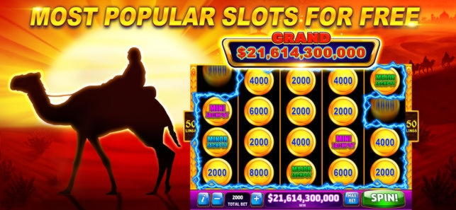 655% No Rules Bonus! at Casino com