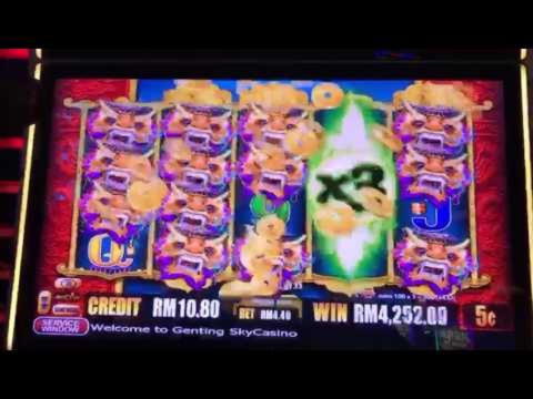 €955 no deposit at Casino Cruise