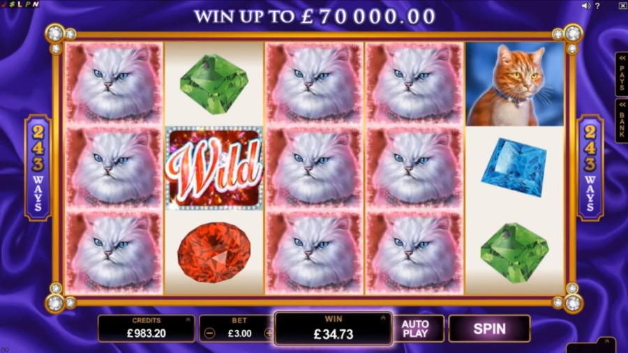 ﻿$3455 NO DEPOSIT CASINO BONUS at Betway Casino