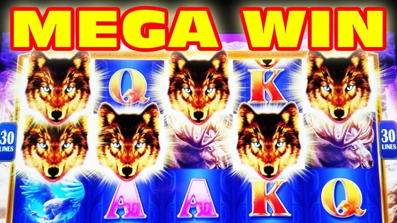 ﻿$4130 NO DEPOSIT BONUS CODE at Spin Palace Casino