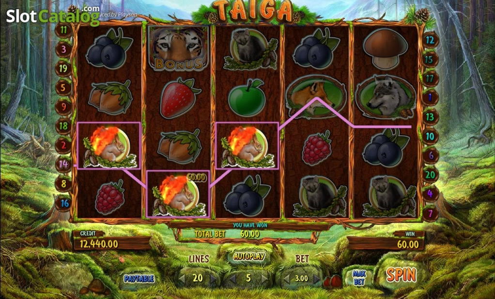 230 Loyal Free Spins! at Casino-X