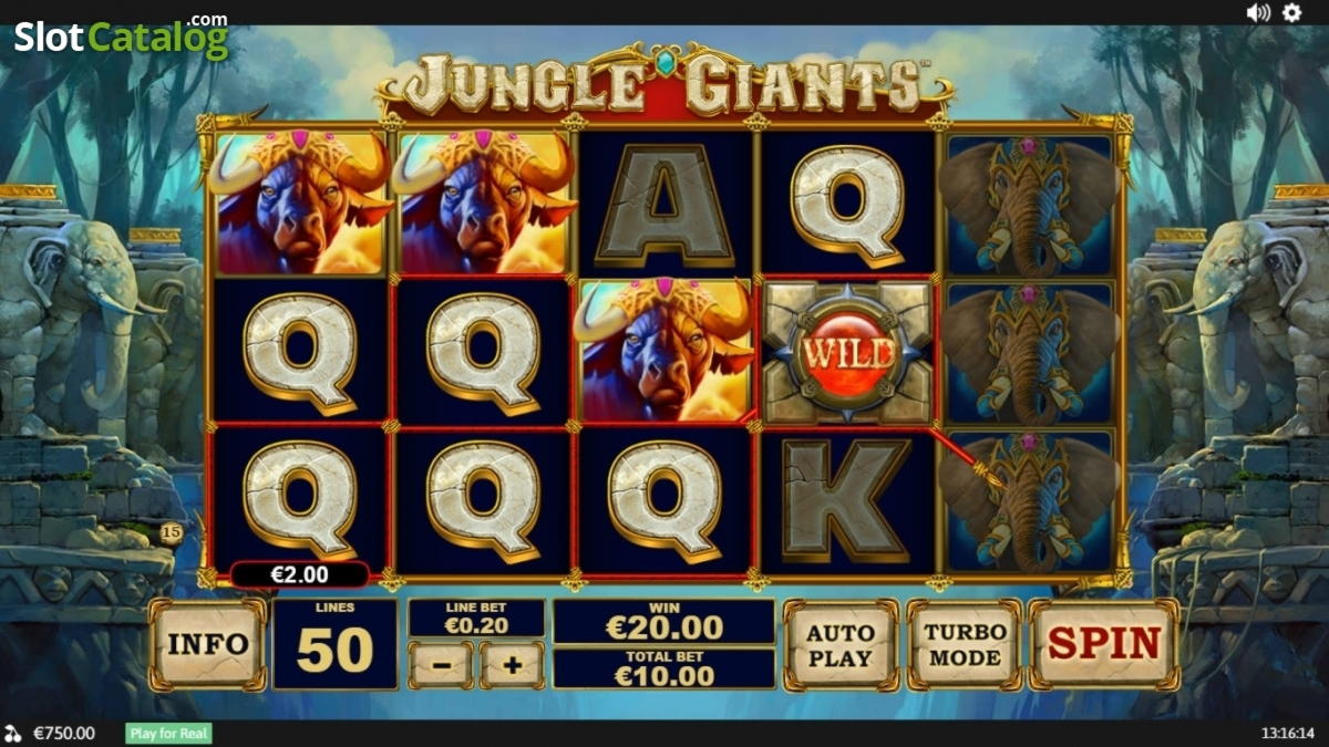 €770 Daily freeroll slot tournament at Spinit Casino