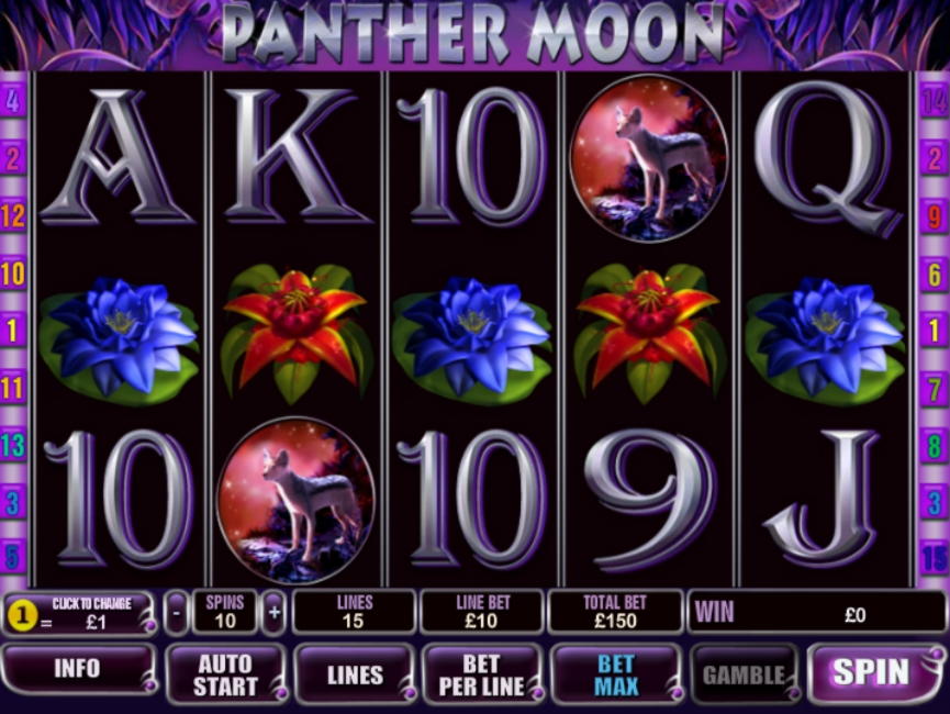730% Match Bonus at Joy Casino