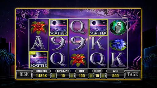 280 free spins no deposit at Betwinner Casino