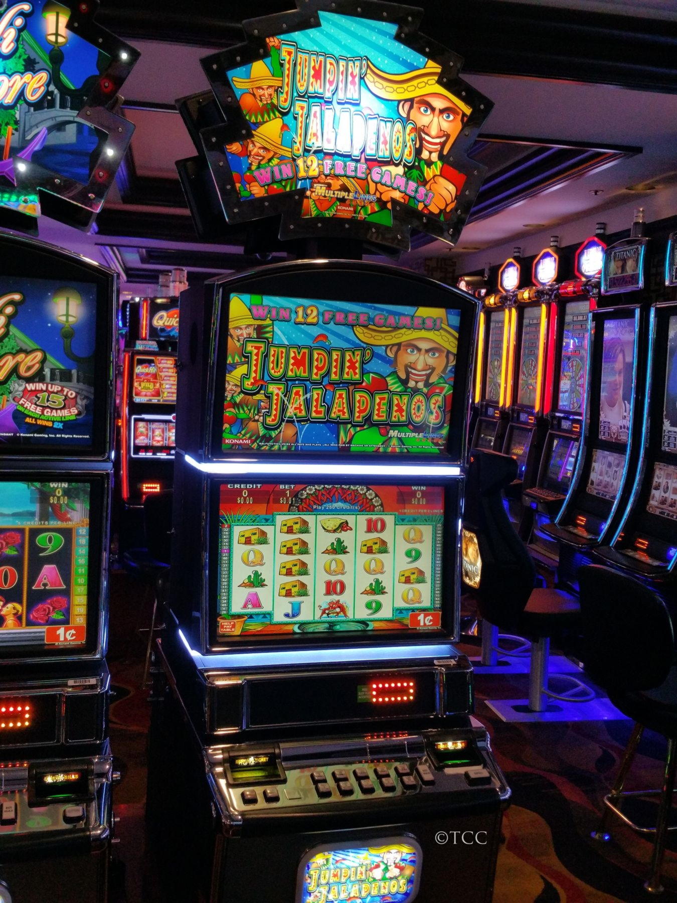 EURO 40 Daily freeroll slot tournament at Casino Max