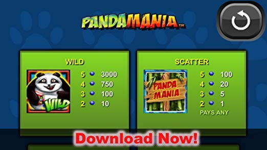 $610 FREE Casino Chip at Betwinner Casino