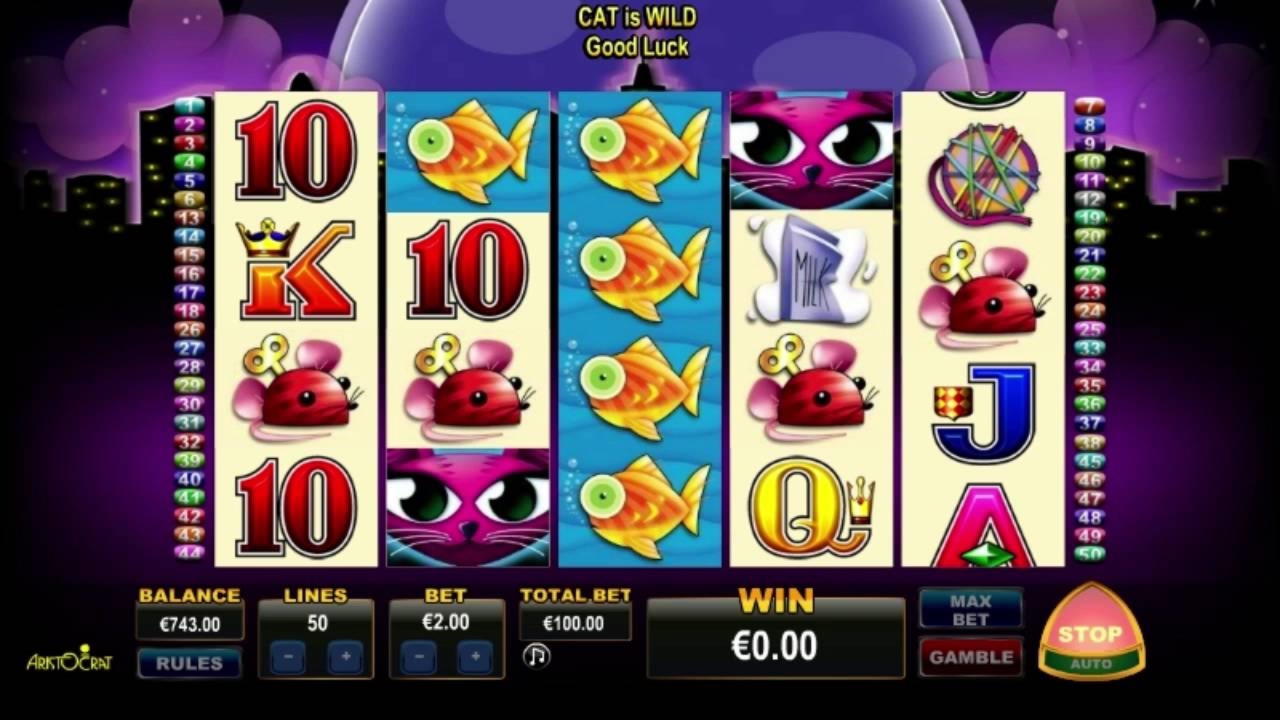 220 free spins no deposit at Mummys Gold Casino