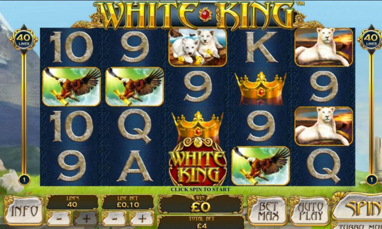 $790 Daily freeroll slot tournament at Ruby Fortune Casino