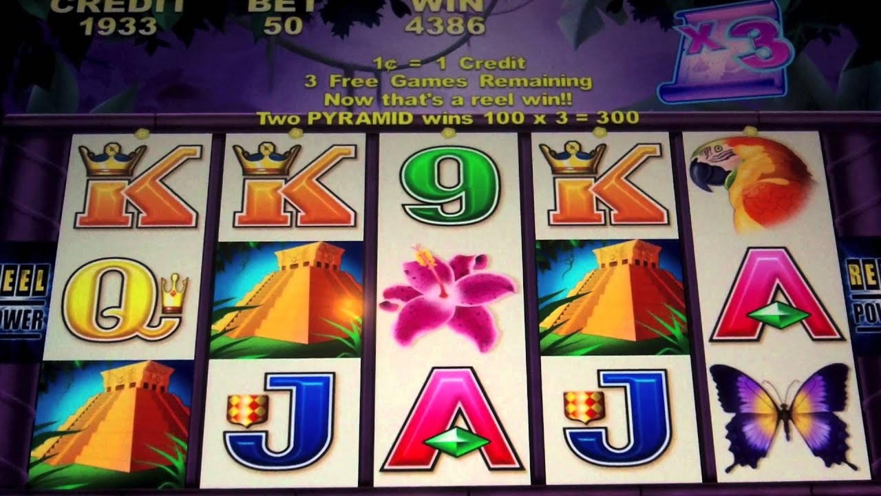 EUR 3730 No Deposit Bonus at Casino Cruise