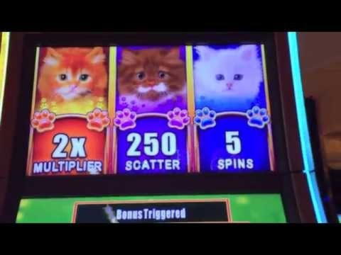 365% Deposit match bonus at Spinit Casino
