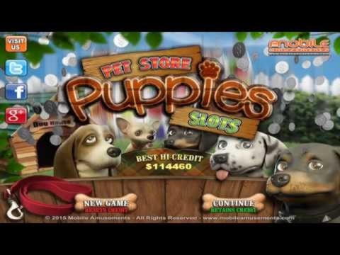 300 FREE SPINS at Casino com