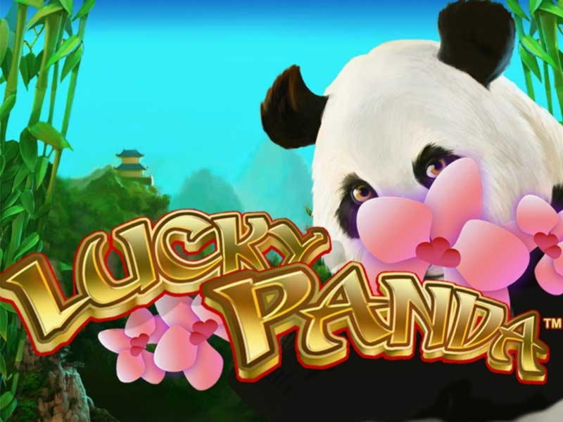 ﻿$440 Online Casino Tournament at Spin Palace Casino