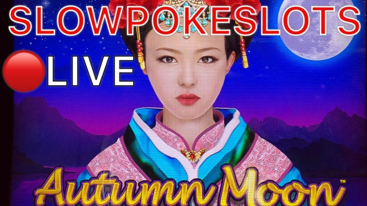 Eur 1550 NO DEPOSIT CASINO BONUS at Casino Cruise