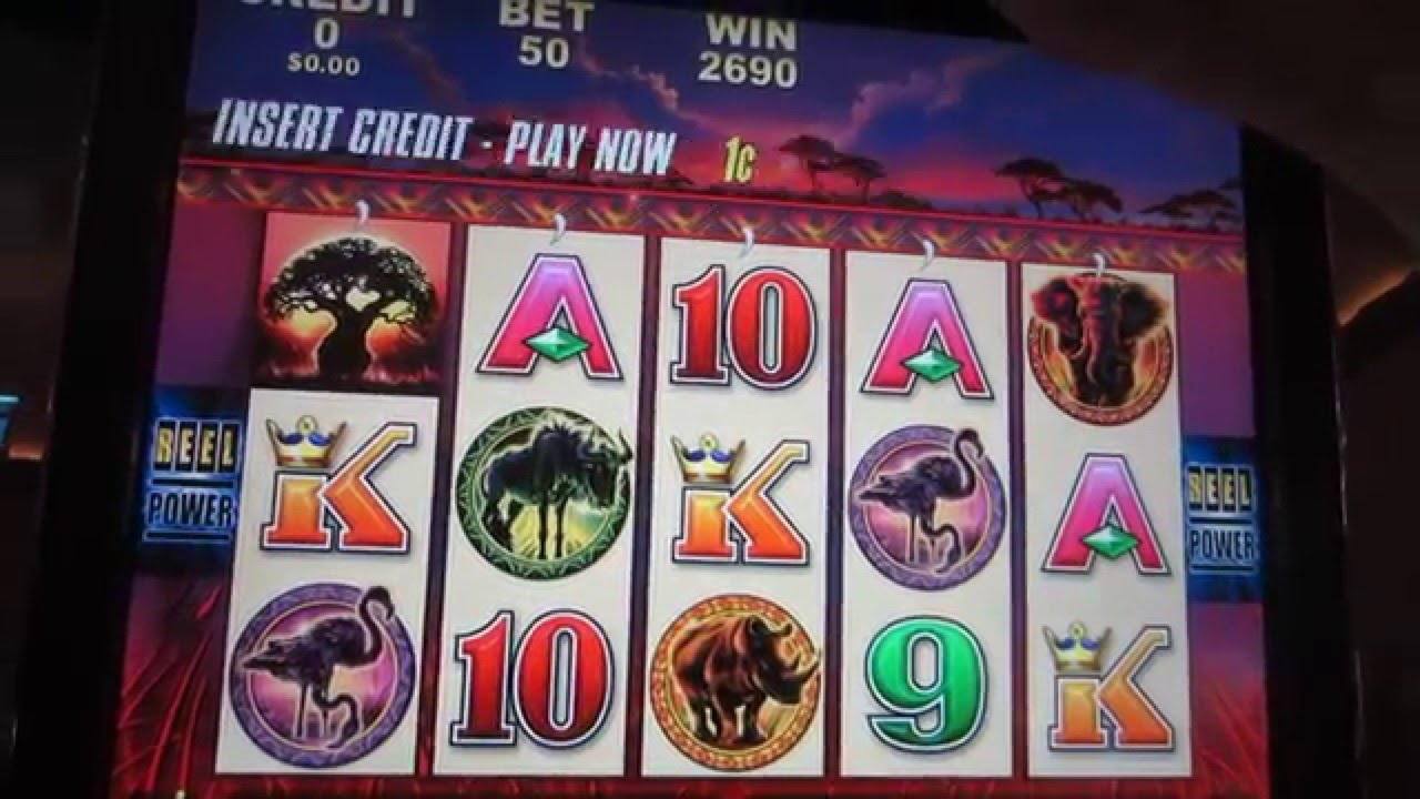 105 free spins casino at Bit Starz Casino