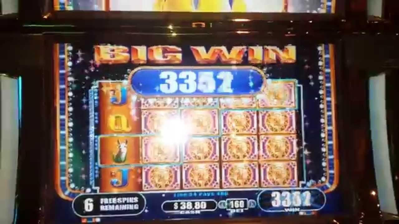 €230 Free Casino Chip at Superior Casino