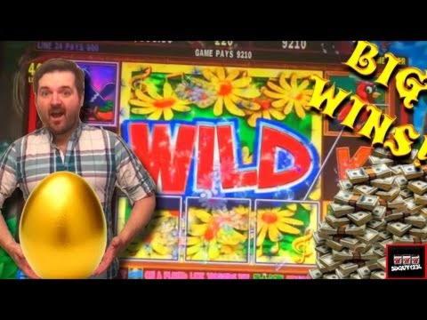 660% No Rules Bonus! at Joy Casino
