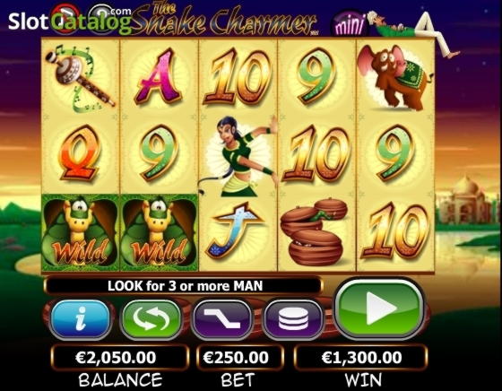 205 Free casino spins at Casino Cruise