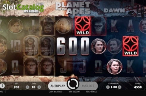 $305 Casino Tournament at Casino Room