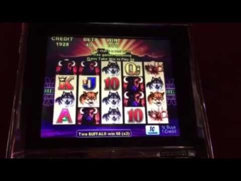 €455 Mobile freeroll slot tournament at Leo Vegas Casino