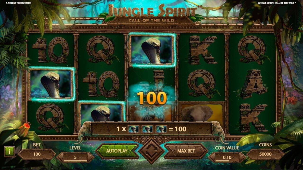 €650 FREE CHIP at Betwinner Casino