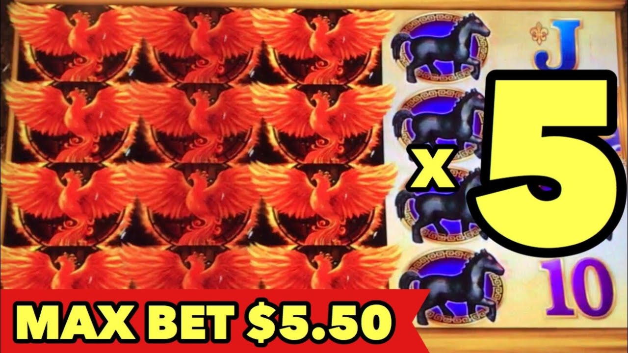 $245 FREE CASINO CHIP at Casino Room